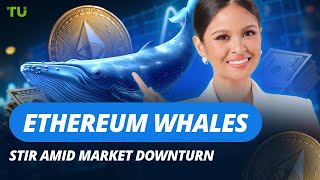 Whales Buy ETH, Trump Buys Back Stock, Cathie Wood Sells Circle: Crypto News for June 24