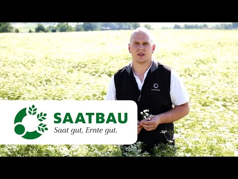 Kümmel SAATBAU LINZ