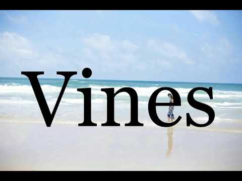 How To Pronounce Vines🌈🌈🌈🌈🌈🌈Pronunciation Of Vines