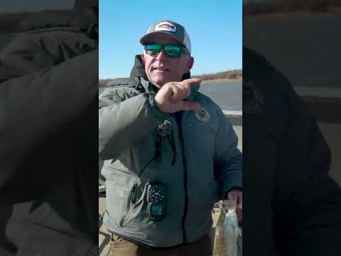 Focus on THIS Depth for Winter Crappie!