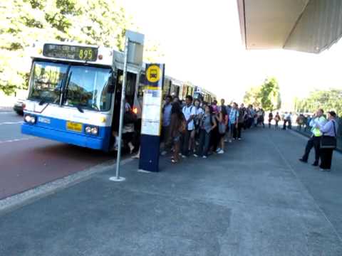 STA UNSW Bus Stop (Anzac Parade) + 895 departure