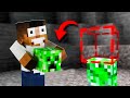 Minecraft, But I Can steal mobs Superpower || Minecraft Mods || Minecraft gameplay Tamil