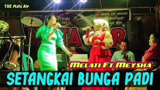 Download lagu Setangkai Bunga Padi - Melati Mamarey ft Meysha Diana / Dangdut Cover mp3 Download lagu Setangkai Bunga Padi - Melati Mamarey ft Meysha Diana / Dangdut Cover mp3