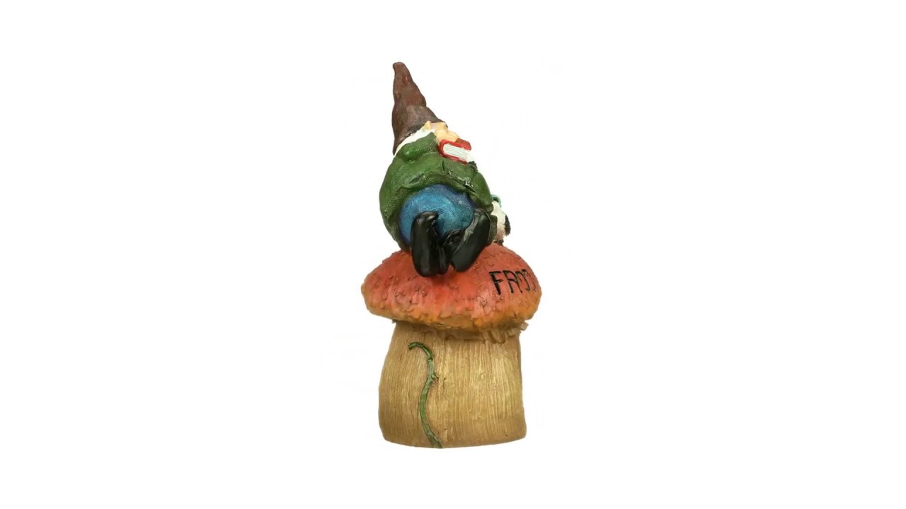 Gnome Frog House Garden Statue Video