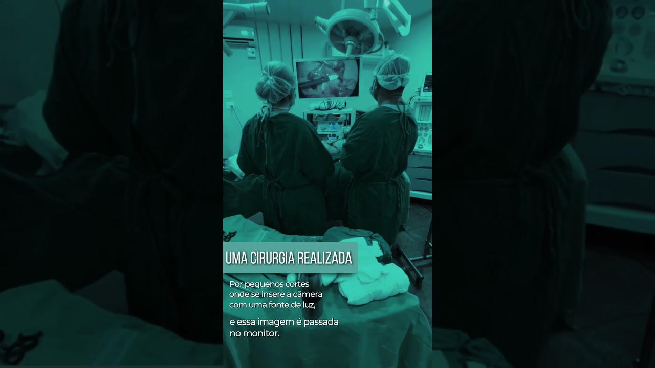 Rita Anieli Rocha-15