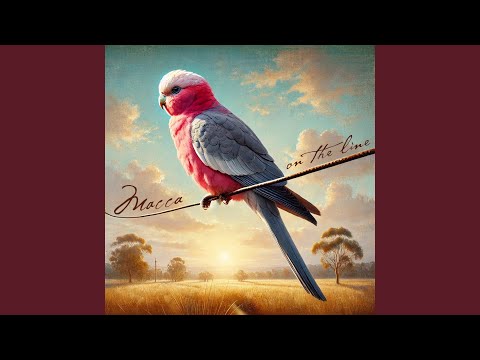 It's Such A Small World