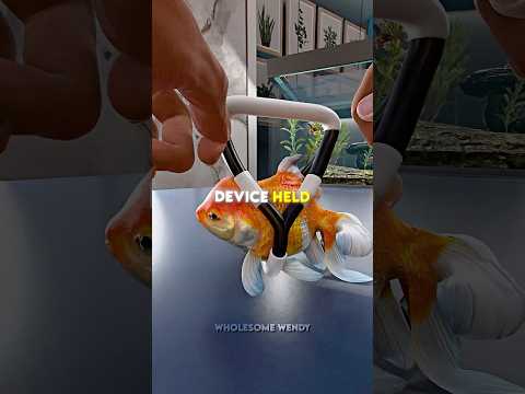 The Fish Sank To The Bottom…