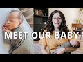 MEET OUR BABY || Baby Name & Gender Reveal