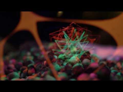 CELEBRATIOHM ed. especial 2 anos