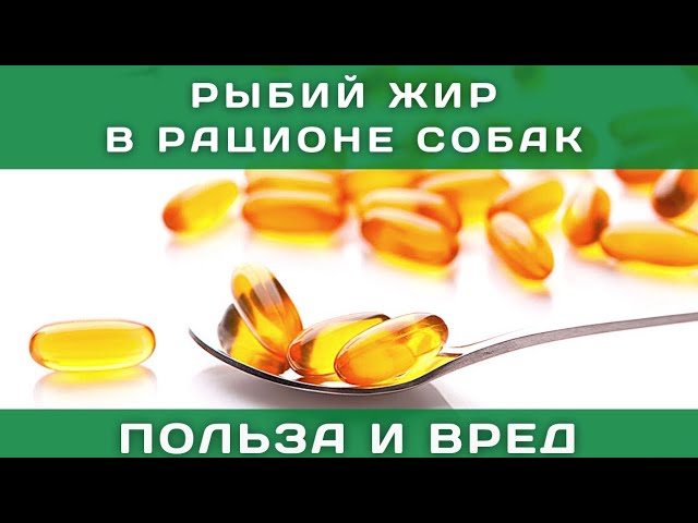 Купить Рыбий Жир Для Собаки Цена