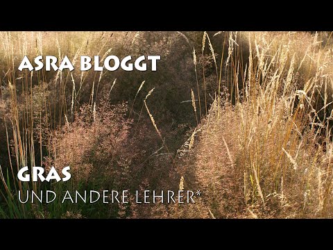 Video-Thumbnail von YouTube