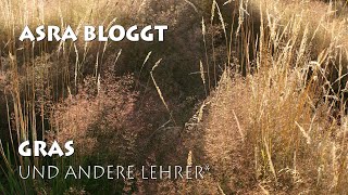 Video-Thumbnail von YouTube