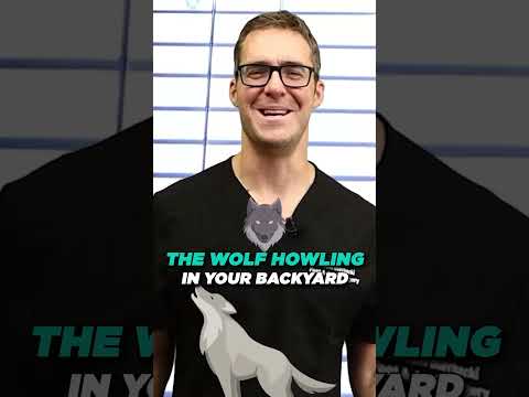 BEST 25 Plantar Fasciitis HOME Treatments Massage Stretches Shoes