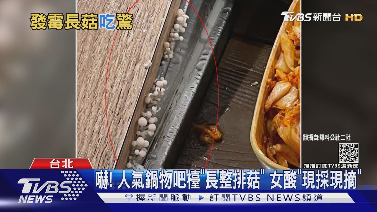 嚇!人氣鍋物吧檯「長整排菇」 女酸「現採現摘」