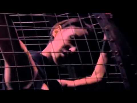 El regreso de Amelle Berrabah