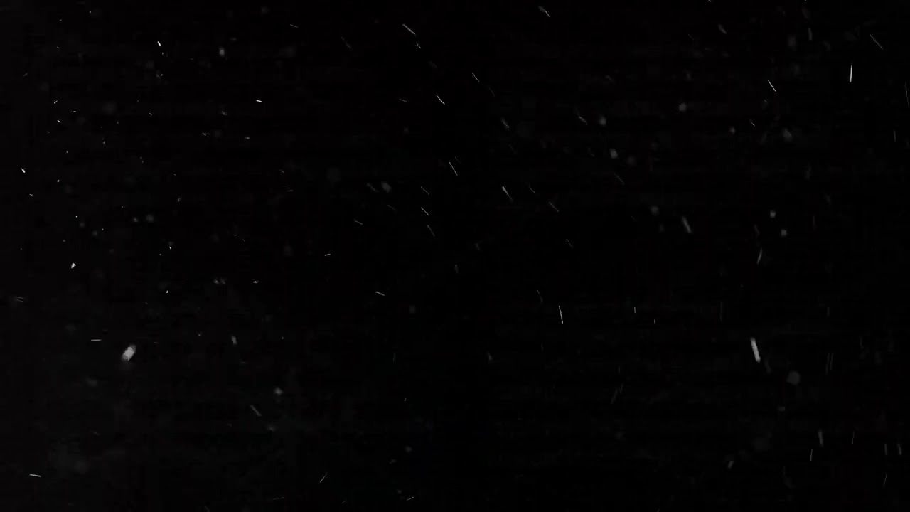 domestic dust particles flying in the air on black background, real-life footage