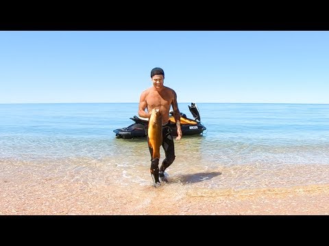 YBS Lifestyle Ep 14 - SPEARFISHING FROM A JETSKI | Coral Trout Catch And Cook