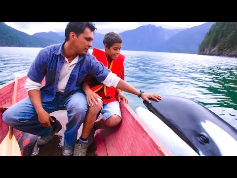 Luna: Spirit of the Whale (Adventure) Full Length Movie