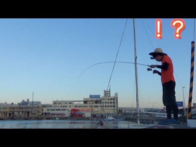 タイピー日記/taipi