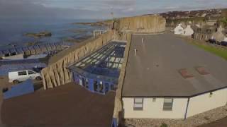 Virtual Aquarium Tour ( filmed during Lockdown)