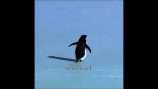 But WHY? (The penguin edit. Toward the mountains).