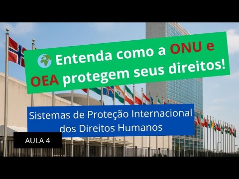 International Human Rights Systems: UN, OAS and Real Cases that Changed Brazil!