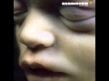 Rammstein - Ich Will (HQ) Rammstein - Ich Will (HQ)