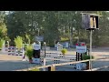 Hongre de 7 ans - moyens Pro 2 min