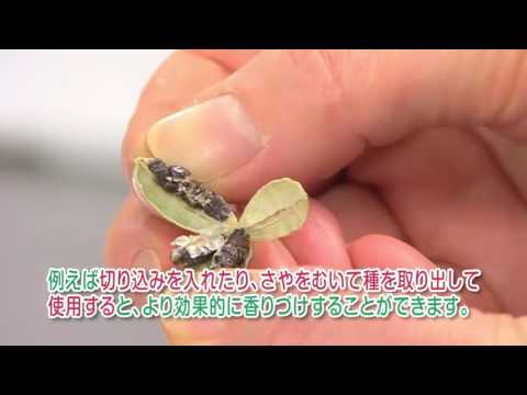 マラバーカルダモン、グリーンカルダモン、エレッタリアカルダモン