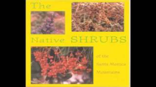 The Native Shrubs - 