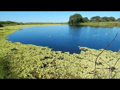 VILLA OCAMPO Santa Fe .JAAUKANIGAS.PAISAJES