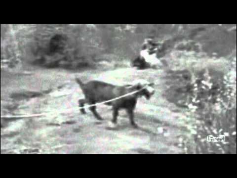 bystanders ignore the plight of a lost helpless soul