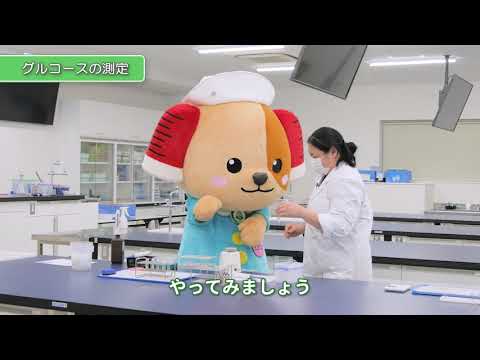 神戸常盤大学【医療検査学科】実習「血清から成分を見る(血糖値測定、タンパク質電気泳動」