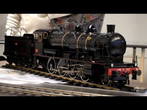 2022, Carnate - Trenini in mostra. Vapore vivo