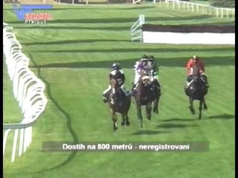 10.9.2016 - doprovodný program – dostih neregistrovaných koní