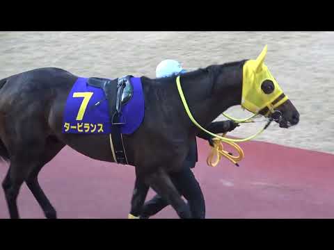 2022 71st Kawasaki Kinen (Jpn I) Paddock Local Video Chuwa Wizard