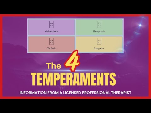 The 4 Temperaments Explained // Personality Types - This Will Help Save Your Relationships!!