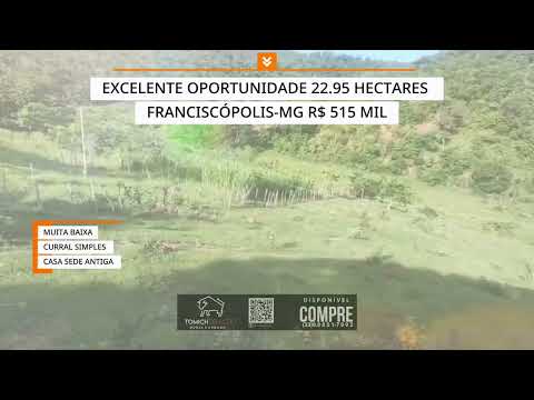 Oportunidade única 22.95 hectares FRANCISCÓPOLIS-MG por R$ 515 MIL #gado #pecuarista #fazenda #luxo 