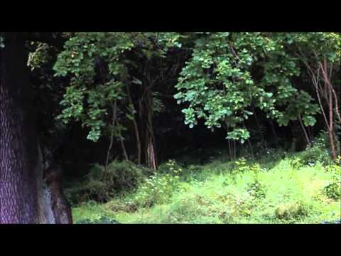 Doping kibiców ŁKS na stadionie Kolejarza - Piłkarskie Derby Łodzi Juniorów Starszyc