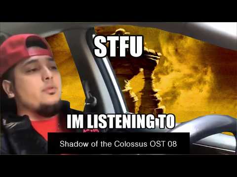 STFU I'm listening to Shadow of the Colossus OST 08