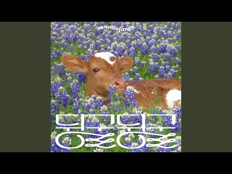 Video thumbnail for 우리네 봄 (Spring Attitude)