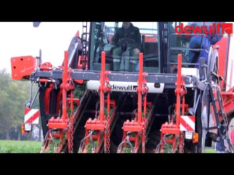 Dewulf ZKIV harvesting parsley root