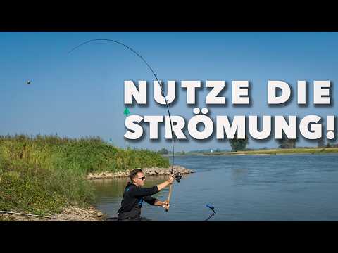 Feederangeln am Fluss 🎣 Alle Tipps von Oliver (Köderfarbe!)