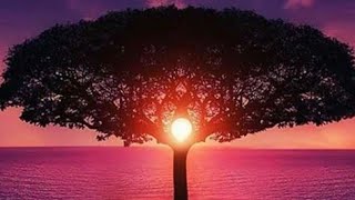 Download lagu Dewa 19 -Cinta Gila Ost  Anak Jalanan . mp3