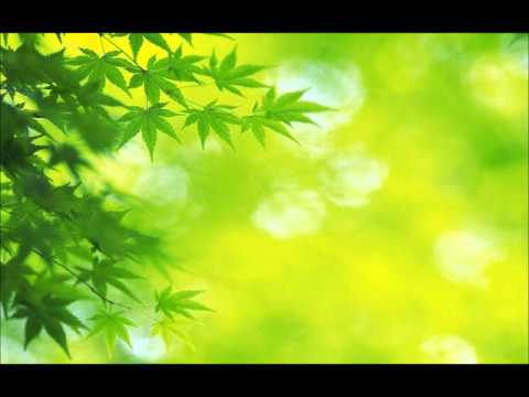 Vigge & D-Lock - Chriss Anthem (med Robin)