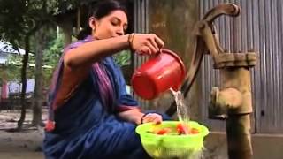 Download the video "Food Safety in Bangladesh"