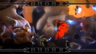 Download lagu Guppy - 01 mp3