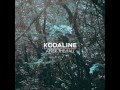 Kodaline- After the Fall 
