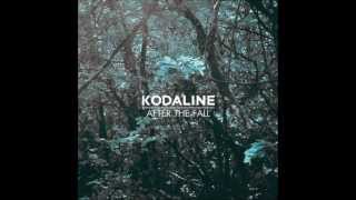 Kodaline- After the Fall