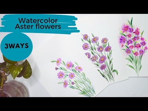 How to paint Aster flowers. 3 ways to paint Aster flowers with Watercolor. September birth flower.